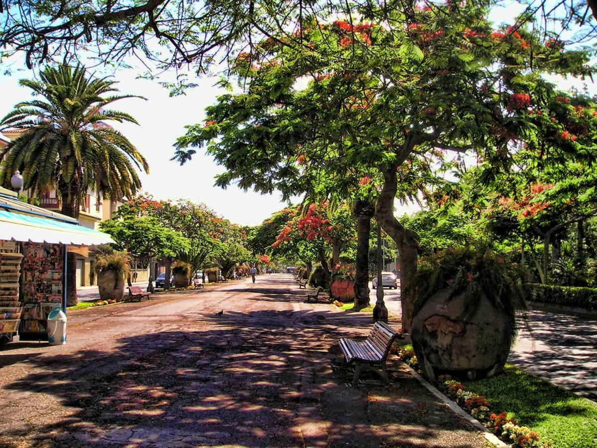 Flores & Campos Guest House Santa Cruz de Tenerife Eksteriør bilde